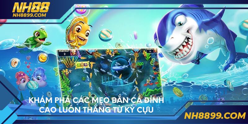 Khám phá các mẹo chơi bắn cá đỉnh cao luôn thắng từ cao thủ