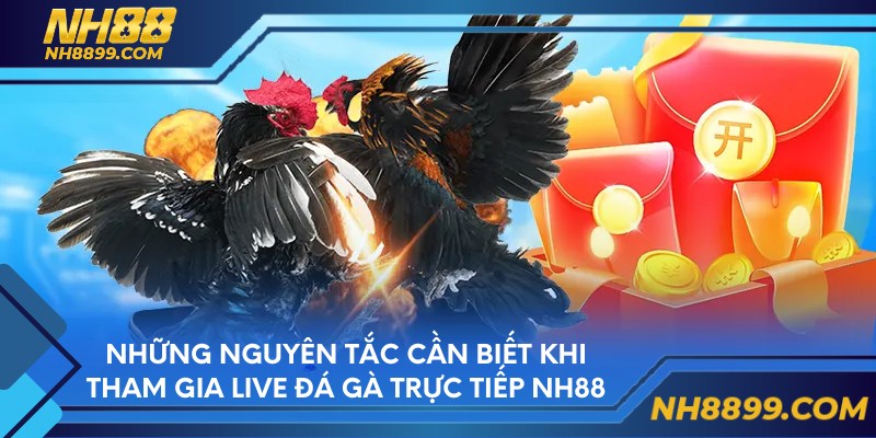 Những nguyên tắc cần biết khi tham gia live đá gà trực tiếp NH88